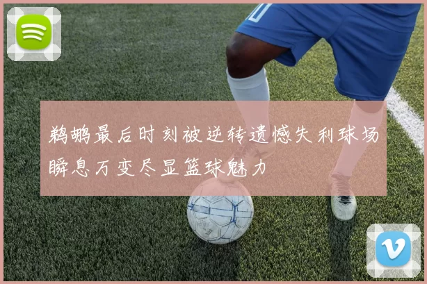 鹈鹕最后时刻被逆转遗憾失利球场瞬息万变尽显篮球魅力