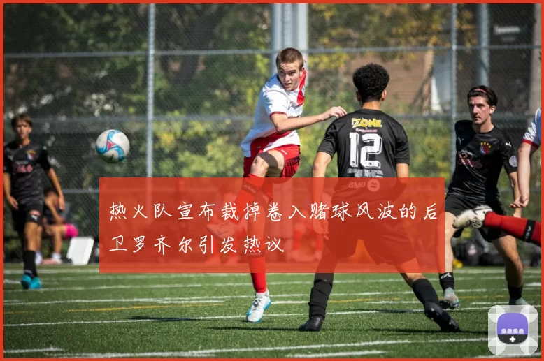 热火队宣布裁掉卷入赌球风波的后卫罗齐尔引发热议