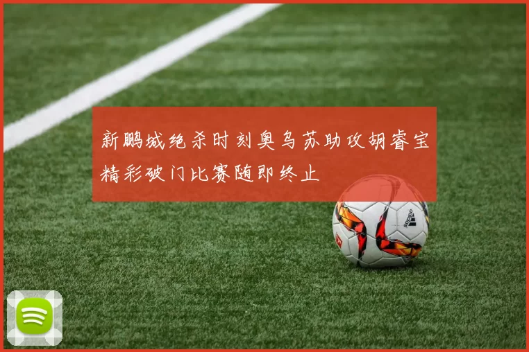 新鹏城绝杀时刻奥乌苏助攻胡睿宝精彩破门比赛随即终止