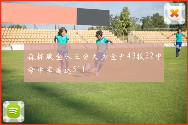 森林狼全队三分火力全开43投22中命中率高达511